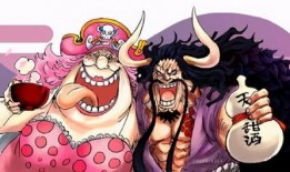 国风路飞爆料视频完整版,揭秘国风文化魅力与传承之路